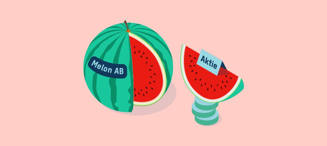 Illustration av melon och melonbild